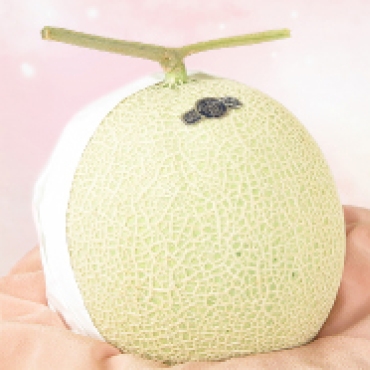 静岡県産 クラウンマスクメロン（4月）