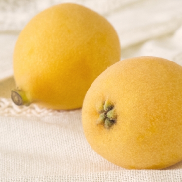 長崎県産 茂木びわ（5月）